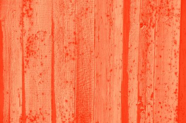 Tasarım için soyut canlı mercan rengi arkaplanı.