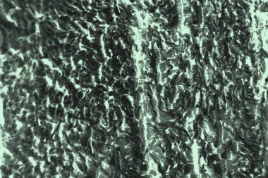 Tasarım için soyut siyah ve açık yeşil arkaplan.