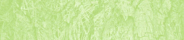 Abstrakt Ljusgrön Bakgrund Med Kopieringsutrymme För Design — Stockfoto