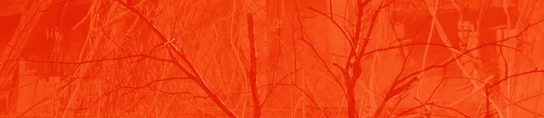 Abstracto Rojo Naranja Colores Fondo Para Diseño —  Fotos de Stock