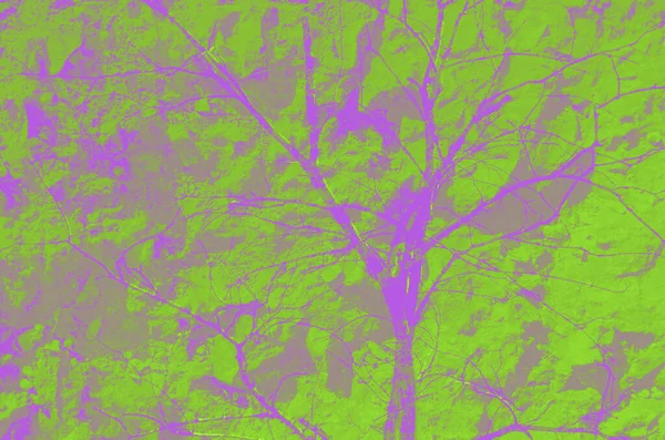 Abstrakte Säure Grün Und Lila Hintergrund Für Design — Stockfoto