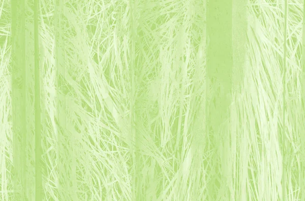 Abstract Light Green Background Copy Space Design — Stock Photo, Image