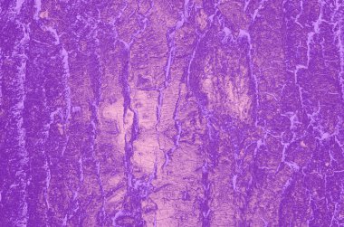 soyut menekşe; dizayn için pembe ve mor arkaplan.