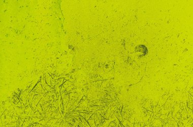 Tasarım için soyut kireç ve yeşil arkaplan.