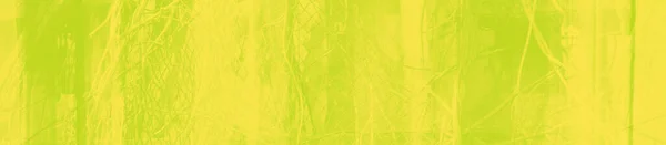 Abstraite Couleur Citron Vert Jaune Fond — Photo