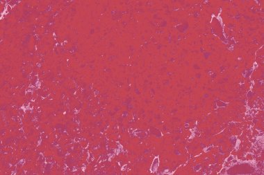 Tasarım için soyut koyu kırmızı ve leylak rengi arkaplan.