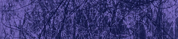 Abstracto Negro Violeta Colores Fondo Para Diseño — Foto de Stock
