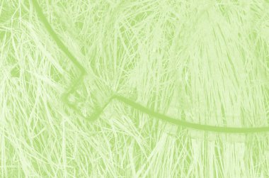 Tasarım için kopyalama alanı olan soyut açık yeşil arkaplan.