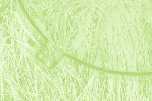 Tasarım için kopyalama alanı olan soyut açık yeşil arkaplan.