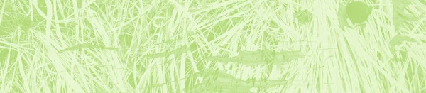Abstraktní Světle Zelené Pozadí Kopírovací Prostor Pro Design — Stock fotografie
