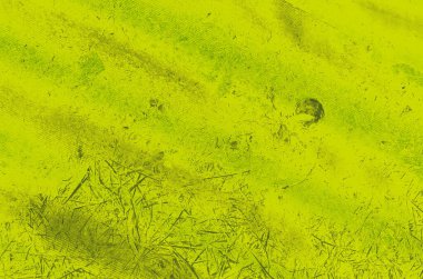 Tasarım için soyut kireç ve yeşil arkaplan.