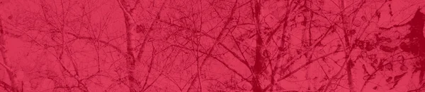 Абстрактные Ярко Розовые Красные Цвета Фона Дизайна — стоковое фото