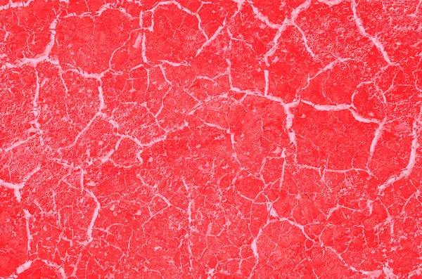 Tasarım için soyut kırmızı, pembe ve mercan renkleri.