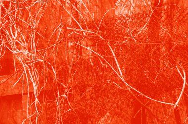 Tasarım için soyut kırmızı ve turuncu arkaplan.