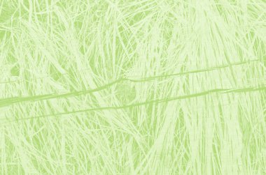 Tasarım için kopyalama alanı olan soyut açık yeşil arkaplan.