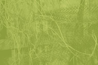 Tasarım için soyut zeytin ve haki rengi arkaplanı.