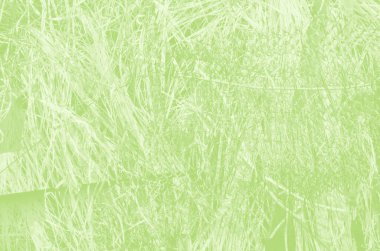 Tasarım için kopyalama alanı olan soyut açık yeşil arkaplan.