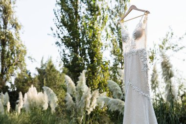 Beyaz gelinlik bitkilerin yanına asılmış.