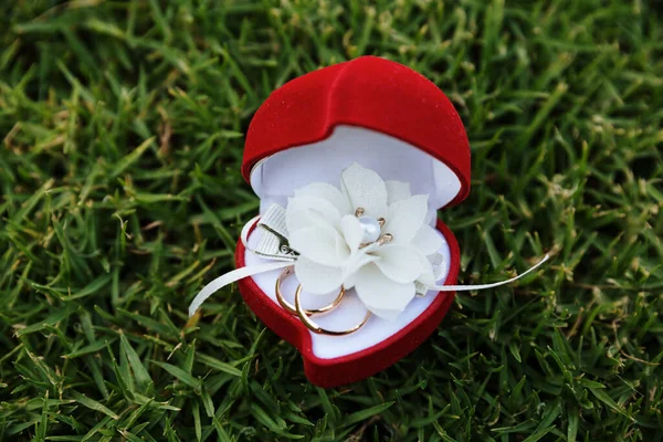 Pierścienie Zaręczynowe Futerale Kwiatem Trawniku — Zdjęcie stockowe