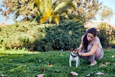 Parkta köpeğiyle birlikte güvenlik maskesi takan genç bir kadın salgın hastalığın ortasında köpeğini okşuyor.