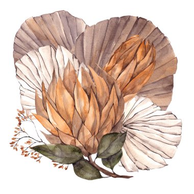 Kurumuş çiçekli suluboya buketi, yapraklar, otlar, protea, banksia, palmiye yaprağı, orkide ve gül, beyaz arka planda izole edilmiş.