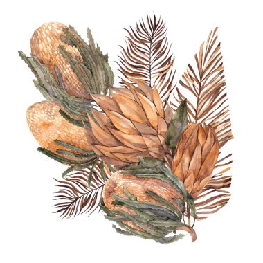 Kurumuş çiçekli suluboya buketi, yapraklar, otlar, protea, banksia, palmiye yaprağı, orkide ve gül, beyaz arka planda izole edilmiş.