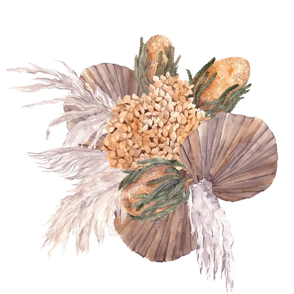 Acquerello Bouquet Con Fiori Secchi Foglie Pampas Erba Protea Banksia — Foto Stock