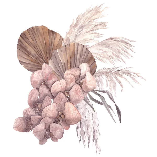 Watercolor Bouquet Dried Flowers Leaves Pampas Grass Protea Banksia Palm — Stock Photo, Image