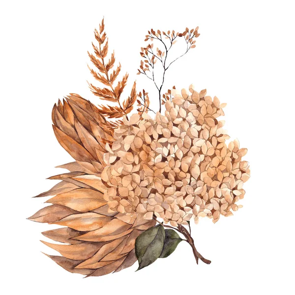 Aquarel Boeket Met Gedroogde Bloemen Bladeren Pampas Gras Protea Banksia — Stockfoto