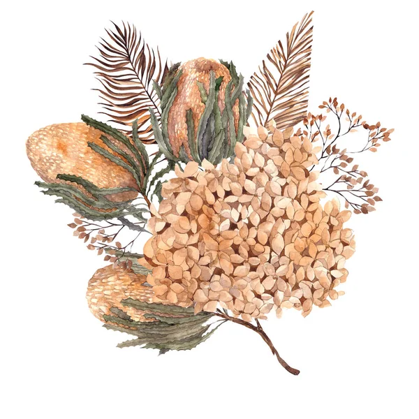 Aquarel Boeket Met Gedroogde Bloemen Bladeren Pampas Gras Protea Banksia — Stockfoto