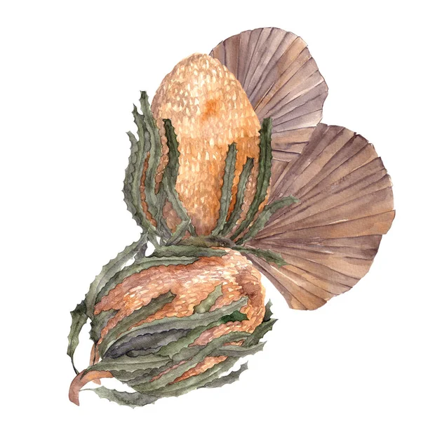 Watercolor Bouquet Dried Flowers Leaves Pampas Grass Protea Banksia Palm — Stock Photo, Image