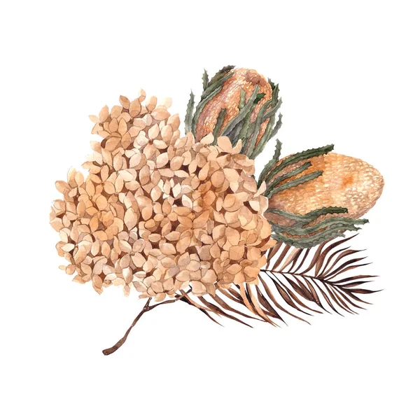 Buquê Aquarela Com Flores Secas Folhas Grama Pampas Protea Banksia — Fotografia de Stock