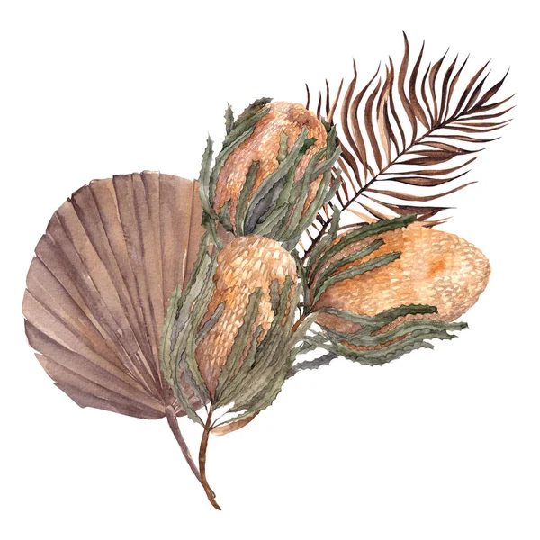 Aquarel Boeket Met Gedroogde Bloemen Bladeren Pampas Gras Protea Banksia — Stockfoto