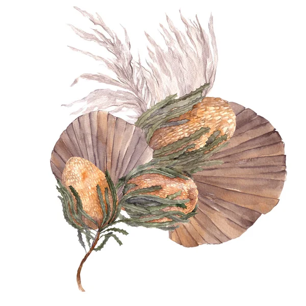 Watercolor Bouquet Dried Flowers Leaves Pampas Grass Protea Banksia Palm — Stock Photo, Image