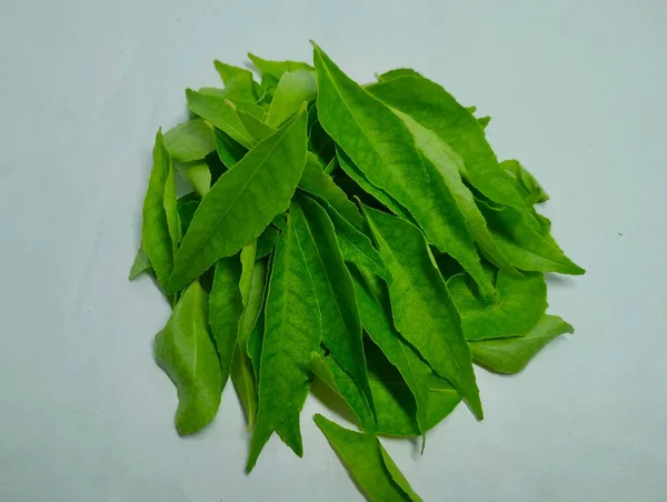 Curry Leaves Images Stock Photos Photo Taken India Vishal Singh — 스톡 사진