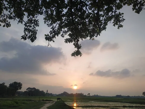 Abend Sonnenuntergang Ansicht Stock Fotos Dieses Foto Wurde Indien Aufgenommen — Stockfoto