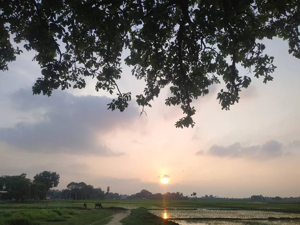 夕日の景色のストックフォト この写真はインドで撮影されました — ストック写真