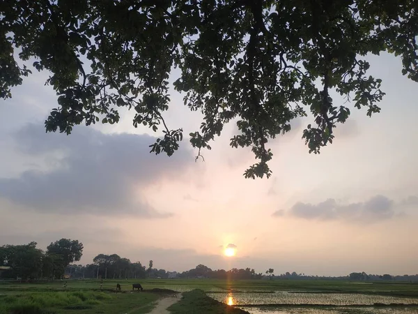 Noite Pôr Sol Ver Fotos Stock Esta Foto Tirada Índia — Fotografia de Stock