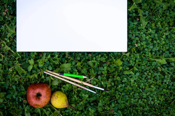 Farba Pędzle Biały Arkusz Papieru Zielonej Trawie Koniczyny Świeże Jabłka — Zdjęcie stockowe
