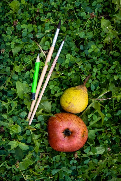 Farba Pędzle Biały Arkusz Papieru Zielonej Trawie Koniczyny Świeże Jabłka — Zdjęcie stockowe