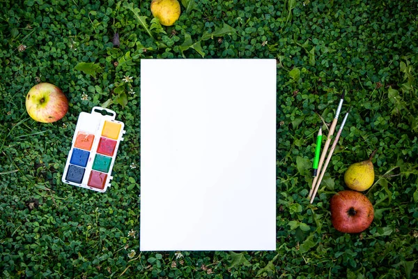 Die Farbe Streicht Ein Weißes Blatt Papier Auf Ein Grünes — Stockfoto