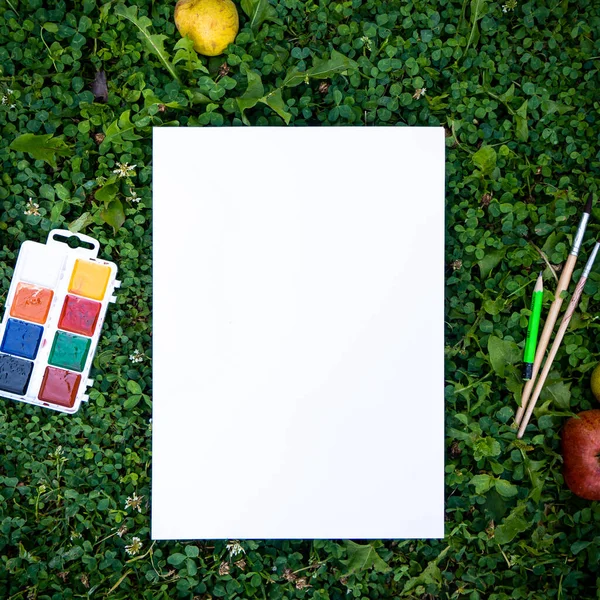 Die Farbe Streicht Ein Weißes Blatt Papier Auf Ein Grünes — Stockfoto