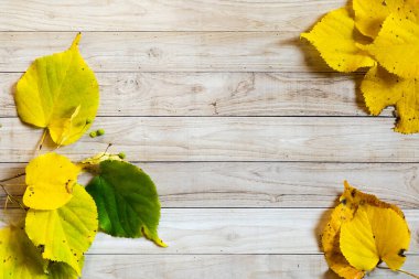 Sarı yapraklar sonbahar ahşap zemin beyaz kağıt kopyalama uzay renkli taklit
