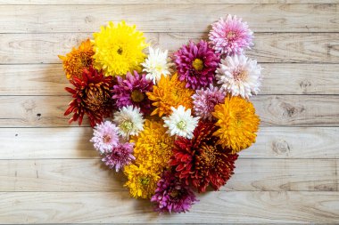Chrysanthemian Chrysantemum sonbahar buketi Aşk kalbi rengarenk