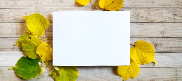 Żółte Liście Jesień Drewniane Tło Biały Blanc Papier Kopia Spacecolored — Zdjęcie stockowe