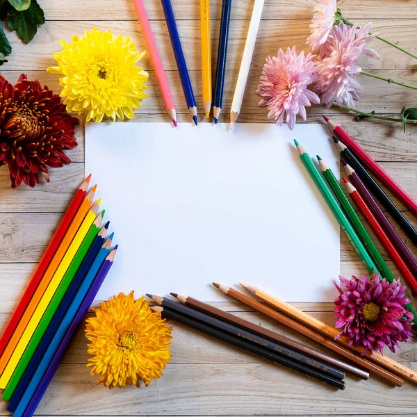 Chrysantemum Autumn Bouquet Pencils Copy Space Blanc Paper Colored Colorful — Stock Photo, Image