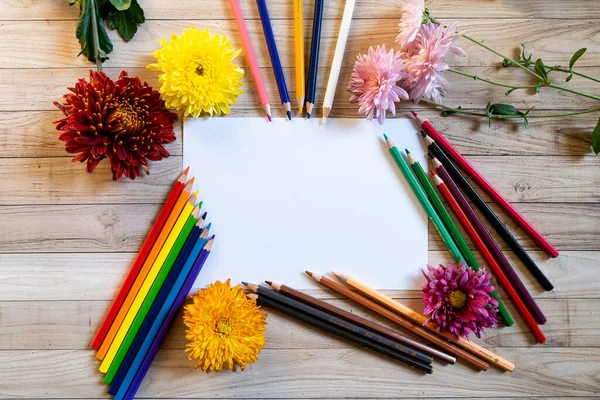 Chrysantemum Jesień Bukiet Ołówki Kopia Przestrzeń Blanc Papier Kolorowy Makieta — Zdjęcie stockowe