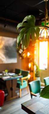 İçerisi bomboş, içinde kimse yok. Masalar hazır ve misafirlerin restorana gelmesini bekliyorlar. Corona virüsü, restoran işlerinde tecrit ve sokağa çıkma yasağı. Covid 19