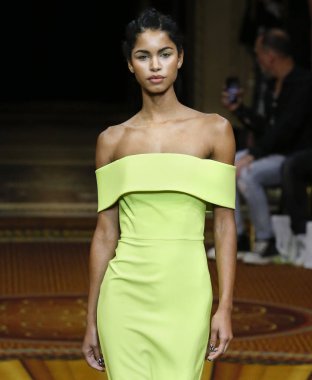 New York, Ny - 08 Eylül 2018: Christian Siriano bahar yaz 2019 moda pist göster New York moda haftası sırasında Daiane Sodre yürür