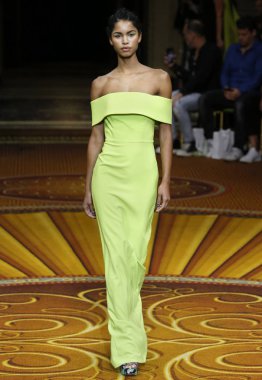 New York, Ny - 08 Eylül 2018: Christian Siriano bahar yaz 2019 moda pist göster New York moda haftası sırasında Daiane Sodre yürür